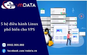 5 hệ điều hành Linux phổ biến cho VPS & sự khác biệt giữa chúng