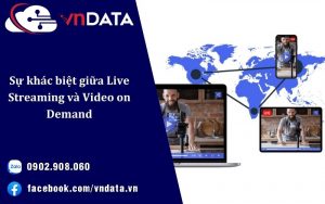 Sự khác biệt giữa Live Streaming và Video on Demand: Bạn nên sử dụng cái nào?