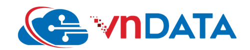 Logo VNDATA